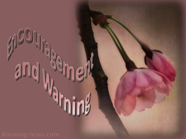 Encouragement And Warning (devotional) (pink)